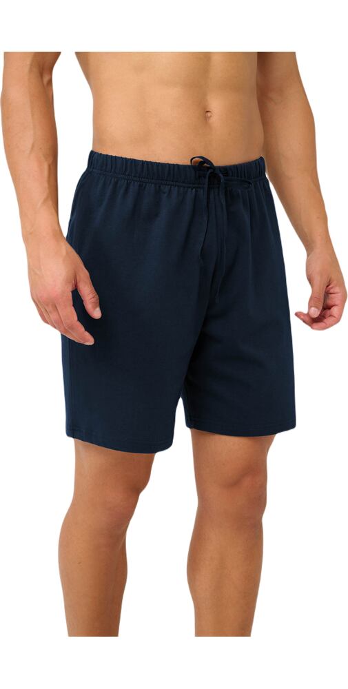 Bavlněné pánské kraťasy Vamp 22675 blue