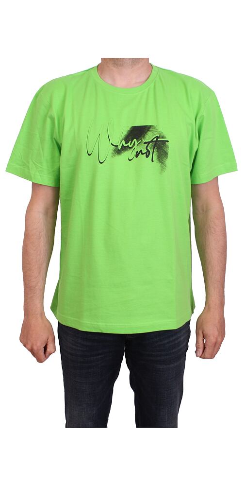Pánské tričko Scharf SFL23053 zelené