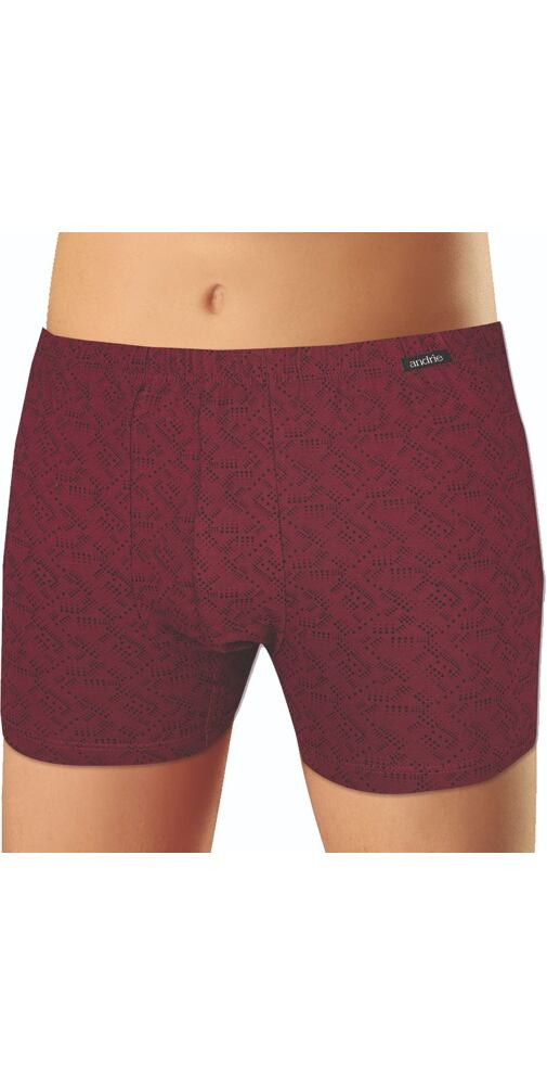 Mladistvé boxerky pro muže Andrie PS 5586 bordo