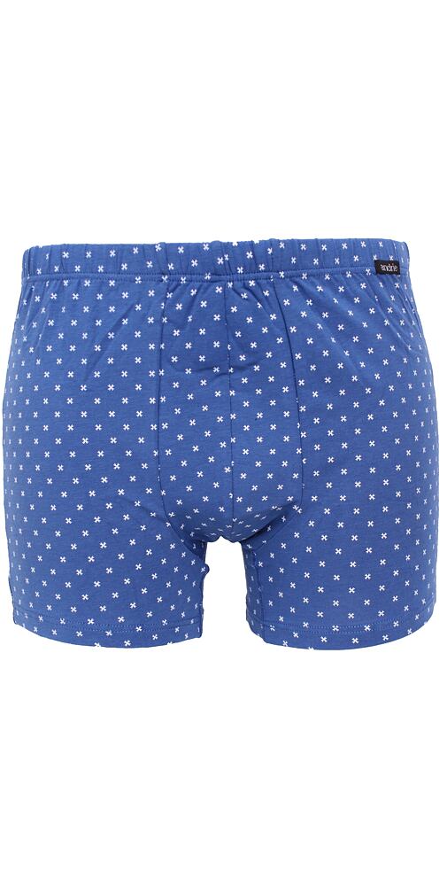 Mladistvé pánské boxerky Andrie PS 5788 modré