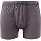 Boxerky s bambusom Andrie PS 5597 grafit