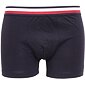 Boxerky Tommy Hilfiger Modal Trunk UM0UM03049 desert sky