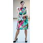 Dámské šaty Erica Tolmea 4823 multicolor