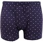 Moderní boxerky s bambusem Andrie PS 5734 - video